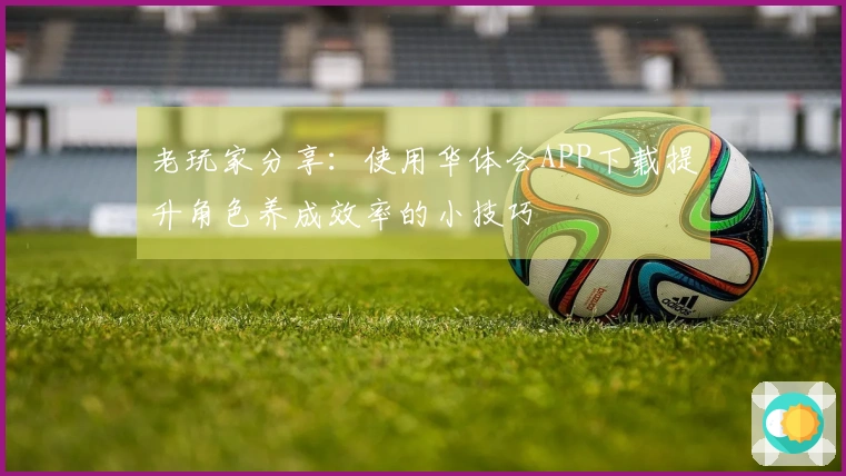 老玩家分享：使用华体会APP下载提升角色养成效率的小技巧