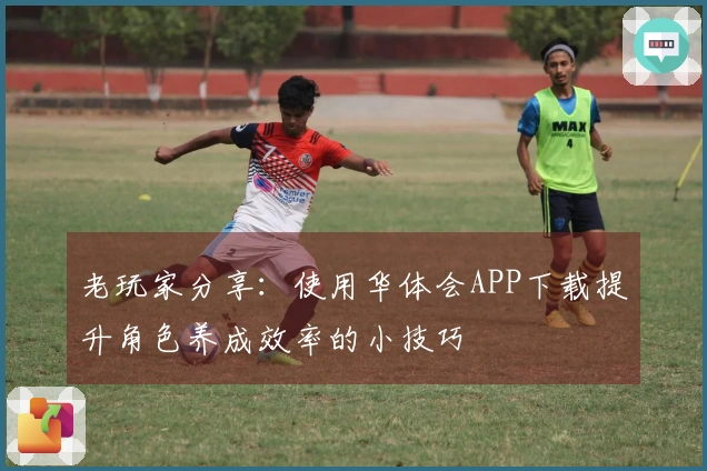 老玩家分享：使用华体会APP下载提升角色养成效率的小技巧